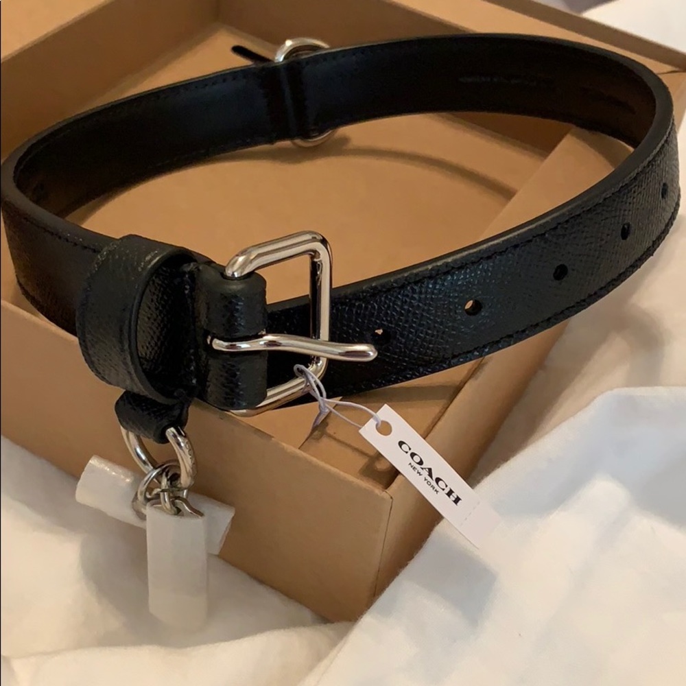 Dog Collar